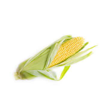 Corn - Sweet